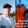 samnaksamnak341