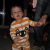 xvidz2