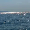 marco_22596