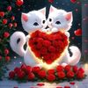 yousriamahmoud783