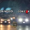 betokon8