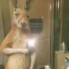 joaco_10_23