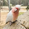vlog_01000