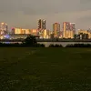 phamdung19951