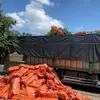 user7303025034292phuoc