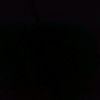 afdal_kemren