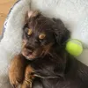 ivy_loves_7