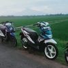 dahllan_