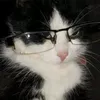 mariiwjz4