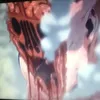 browasdiscovered