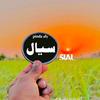 pinda_aly_siyal_003