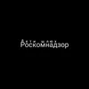 roscomnadzorshluxi