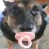 noname1nek