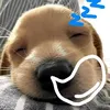 banhvancac2