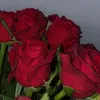 sehe.96