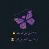 72nwabzadi