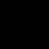 nss99._