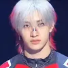 skz_b1431