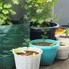 evengarden7an