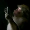 kephandien007zzz