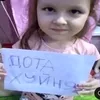 palodov