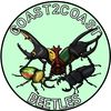 coast2coastbeetles