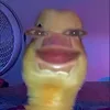cutekocumber