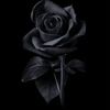 nahomi_mishel