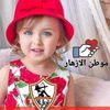 gamal_refai_hamza2