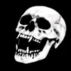 dylson__