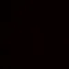 .iluminada.8