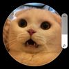 user1242283602141