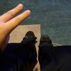 emypascalita