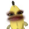 arlrsy