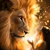 leo_babe8