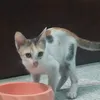 toibigayhihi