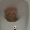 4elove4ek303