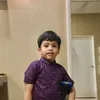 remysudin