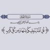 taim.tamim0