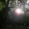 navanun198