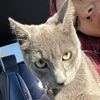 cindyivyy