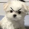 eongudc
