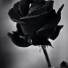 ali.rehman912