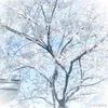 byen_16