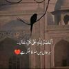 chandio7861106