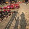 istri_orang2910