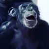 cqtpctqaup