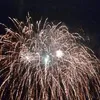 flavia_romanelli