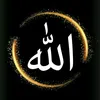 _mustafayev91_
