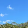 desativadoui2